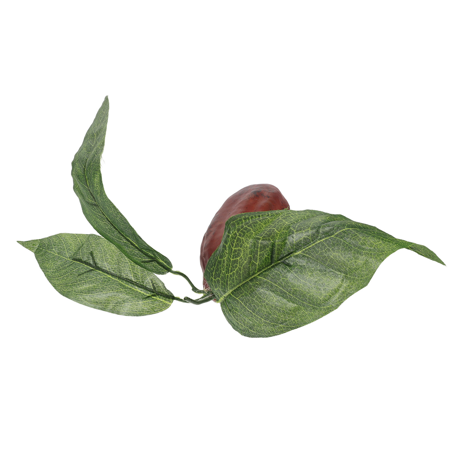 Photography Coffee - Artificial Cacao Pod Realistic Texture Cocoa