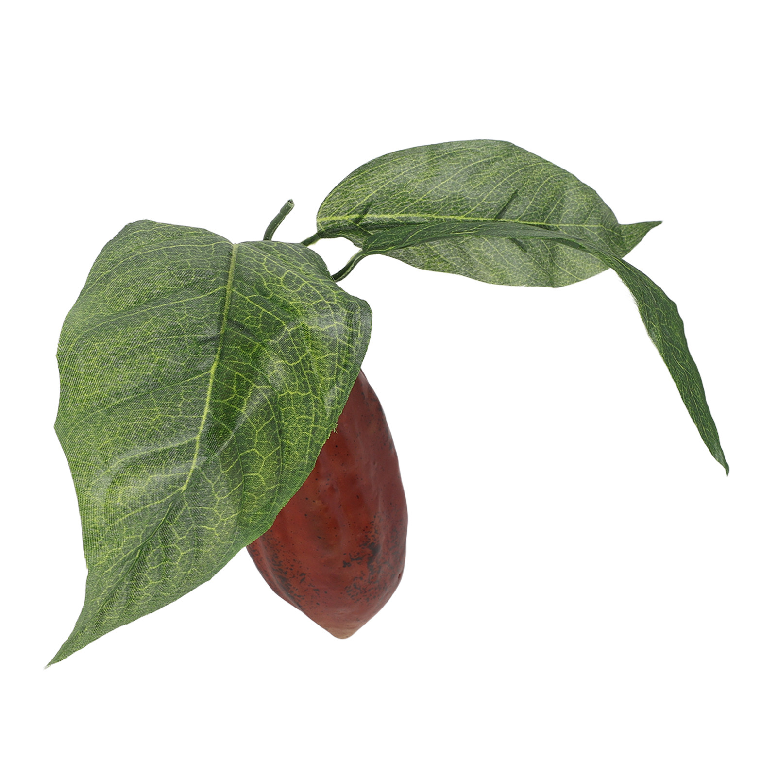 Artificial Cacao Pod Realistic - đánh giá và giá Photography Coffee