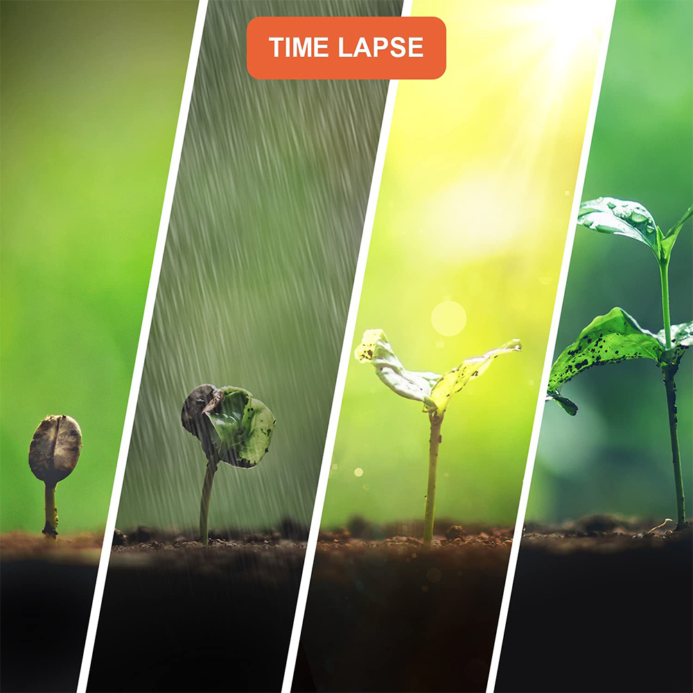 TL2300 2.4” LCD Time-Lapse Cam - đánh giá và giá Timelapse Controller