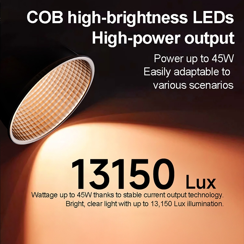 60W RGB Video Light Portable L - đánh giá và giá Photography Kit Pro